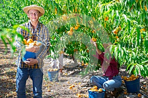 Man holding bucket full of peaches