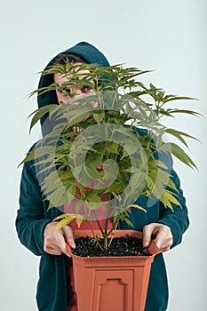 Man holding cannabis plant