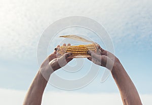 Man holding corn raised in the sky