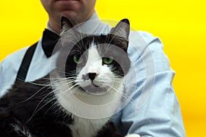 Man holding cute black and white taxedo cat with green eyes and whisker