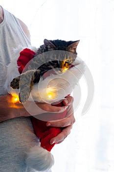 man holding cute brown tabby cat in fluffy red and white santa hat with christmas lights