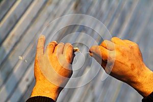 A Man Holding A Fish Engaged In Fishing Rod