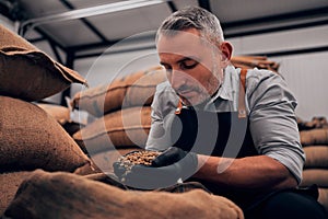 Man holding fragrant coffee beans in a coffee factory. A pile of roasted Arabica grains. Selection of fresh coffee for espresso