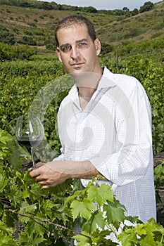 Man holding a glass of wine in a vineyard