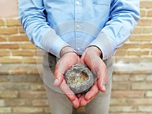 Man holding in his hands an empty nest of birds - the concept of rebirth in spring