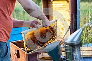 Man holding honeycomb frame for checking the bees