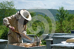 Man holding a honeycomb full of bees. Beekeeper in protective workwear inspecting frame at apiary.