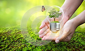 Man holding light bulb with tree inside concept tree environmental conservation