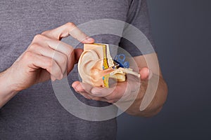 Man holding the model of the human inner ear in hands