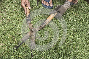 A man holding an old grass scissors or garden shear at a lawn outdoors