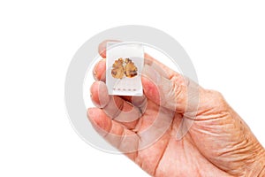 Man Holding Paraffin Embedded Tissue Blocks of Cancer on iSolated White Background