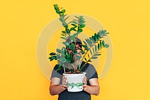 Man holding pot with home plant zamioculcas. Gift of living flower for March 8 and mother`s day