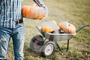 Man holding pumkin in his hand. Retro style photo