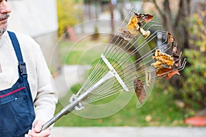 Man holding rake with autumn leaves in the yard
