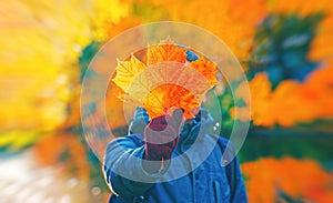 Man holding red autumn leaf in hand closeup. Maple fall leaves in park. Hello october concept Nature change mood. Yellow
