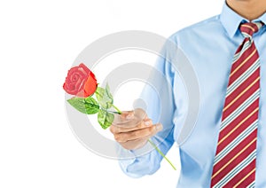 Man holding red rose in hand on white