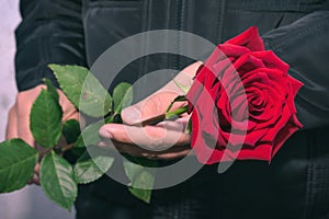 Man holding a red rose in his hands during a mourning ceremony