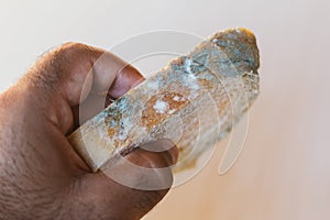 Man holding slice of bread with mold on light background. Food not suitable for consumption