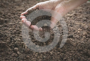 The man holding soil in the hands.