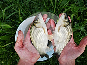 Man holding two Freshwater fish