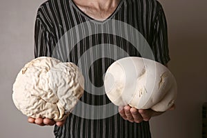 Man holding two mushrooms Giant puffball as brain.