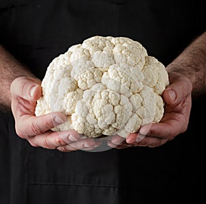 Man holding a whole raw organic cauliflower in his hands