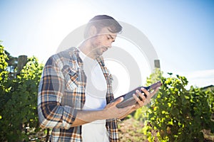 Man holding wine bottle at vineyard