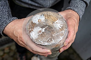 Man is holding a wrapped tree stub with clear film