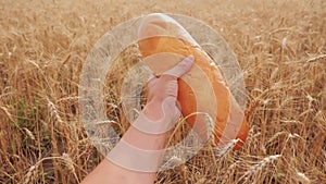 Man holds a bread loaf in a wheat field. slow motion video. successful agriculturist in field of wheat. harvest time