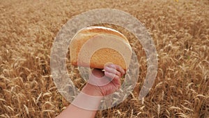 Man holds a bread in a wheat field.slow motion video. successful agriculturist in field of wheat. harvest time lifestyle