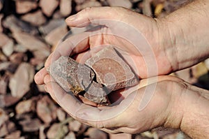 A man holds the Crimson Quartzite. Chipped rubble stone. Random