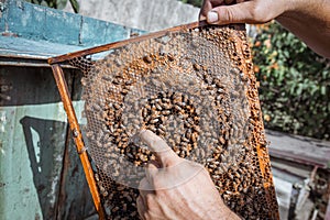 a man holding a honeycomb with his bare hands