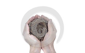 Man holds nest in hands photo