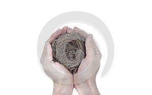 Man holds nest in hands