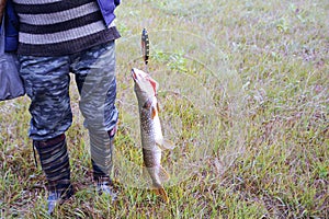 Man holds a pike caught on bait