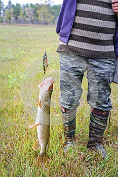 Man holds a pike caught on bait