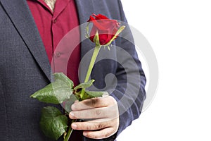 A man holds a red rose in his hand. Isolated over white background. Close-up