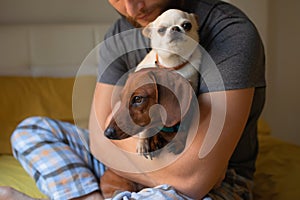 A man holds two small dogs in his arms.