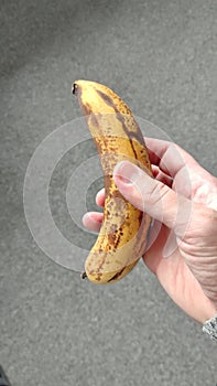 Man holds a very overripe banana in his hand