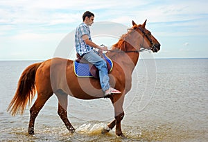 Man on horse