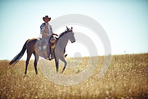 Man, horse and countryside land as cowboy for adventure riding in Texas meadow for explore farm, exercise or training