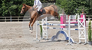 Man and horse jumping a fence