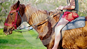 Man horseback riding in a field