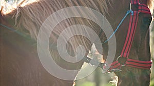 Man horseback riding in a field