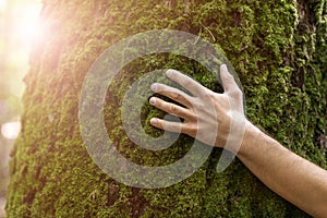 Man hugging tree in forest