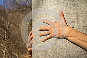 Man hugging a tree in the forest
