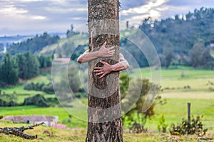 Man hugs the big tree