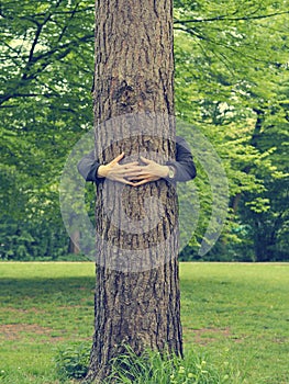 Man hugs a big tree