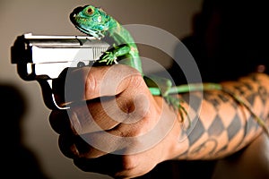 Man and iguana