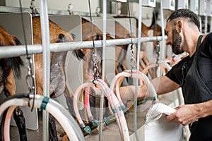 Man operating milking machine at the goat farm photo